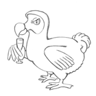 pencil drawing — dodo