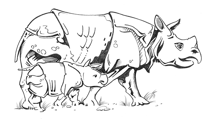 pencil drawing — rhinos
