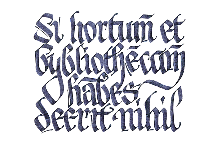 calligraphy after Cicero ad Varronem — Si hortum et bybliothecam habes, deerit nihil.