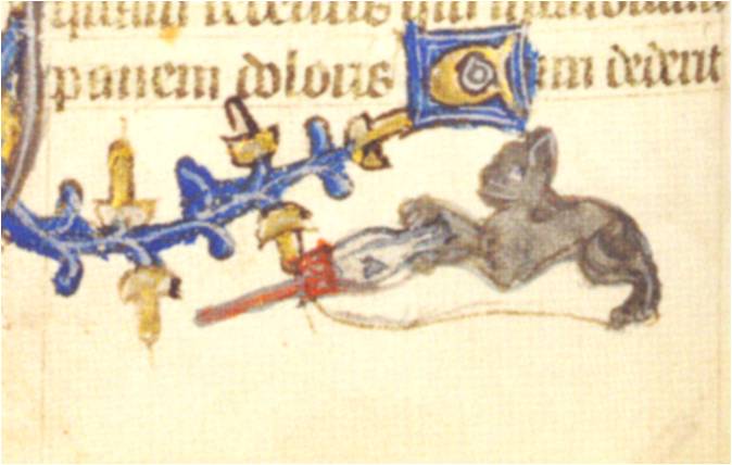 кошки в средневековой книжной миниатюре
