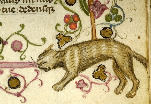 кошки в средневековой книжной миниатюре